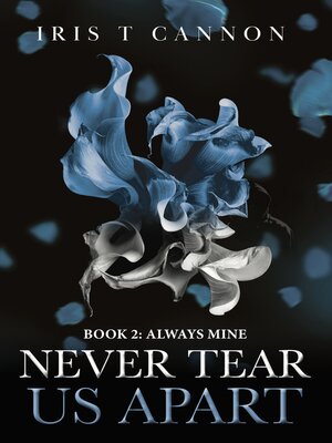 cover image of NEVER TEAR US APART